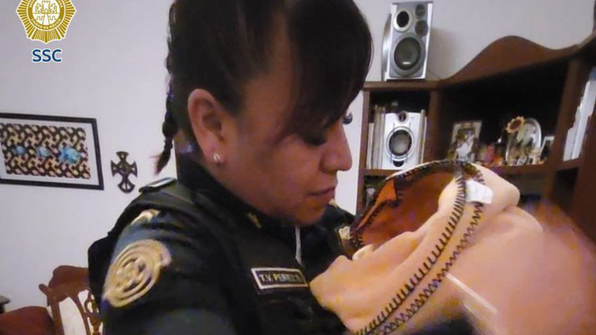 Encuentran a bebé abandonada entre arbustos en la vía pública