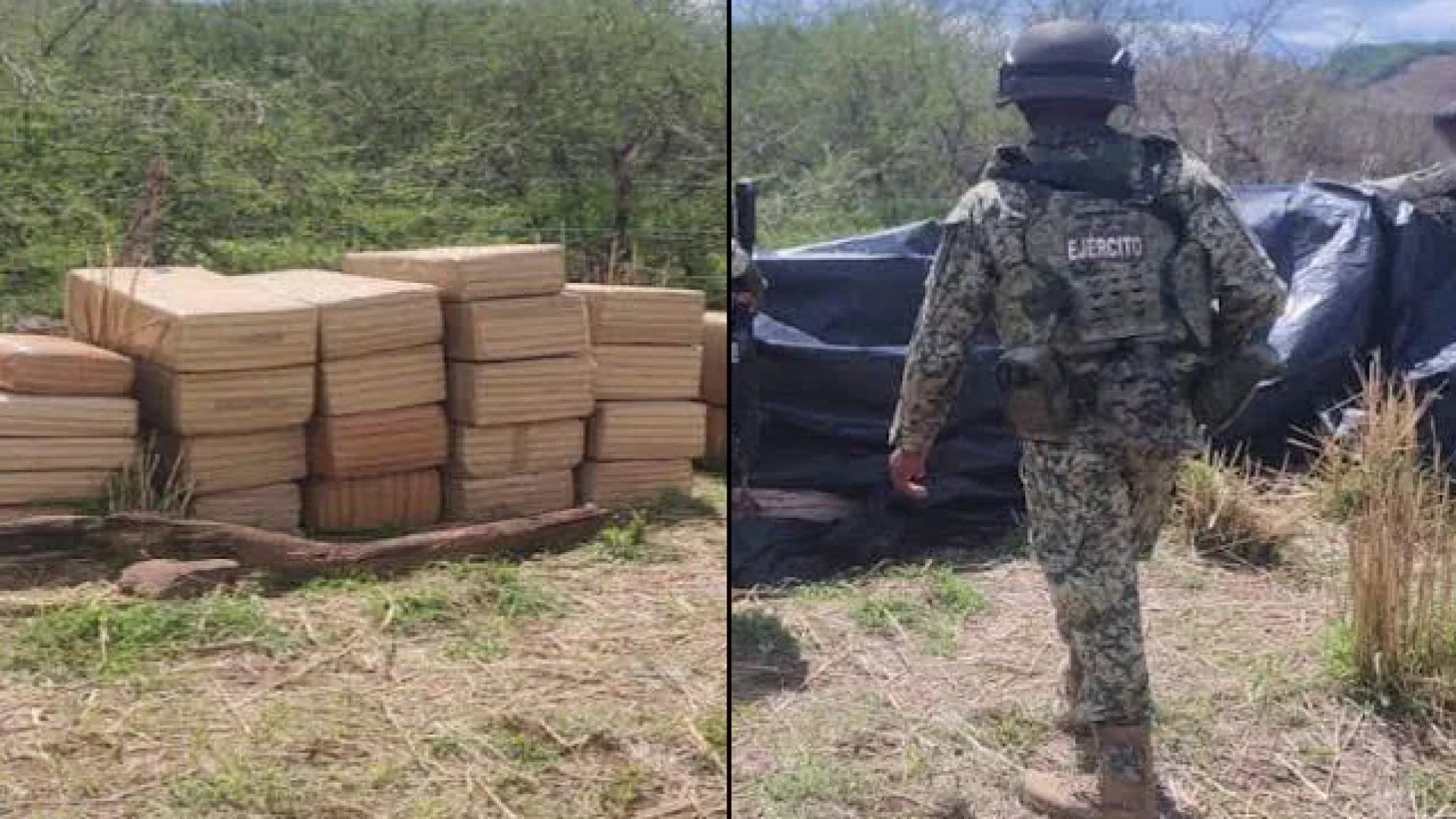Gabinete de Seguridad arresta a 41 personas y aseguran más de 430 kilos de droga