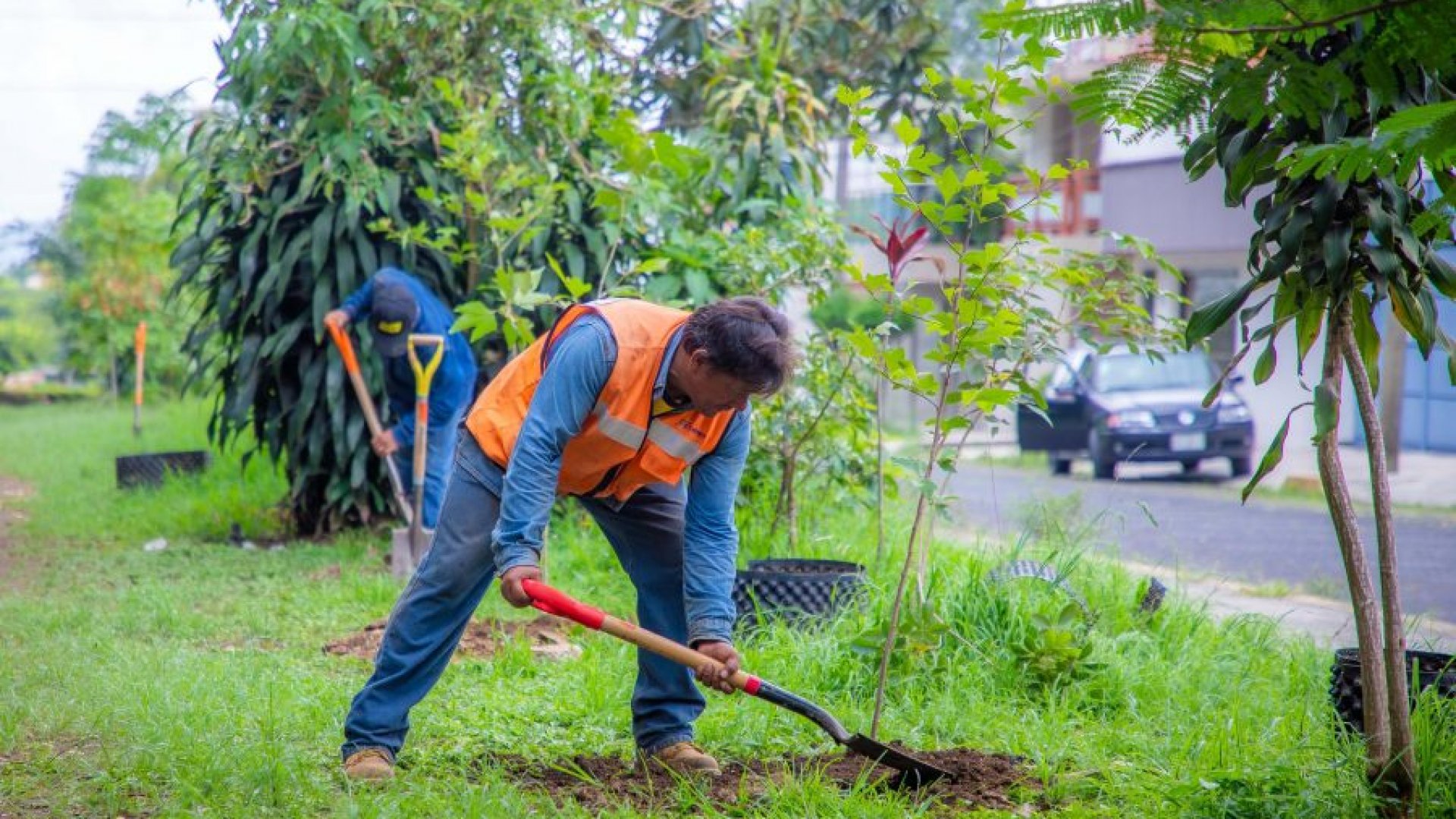 Celebrará Xalapa Día del Medio Ambiente con jornada de reforestación