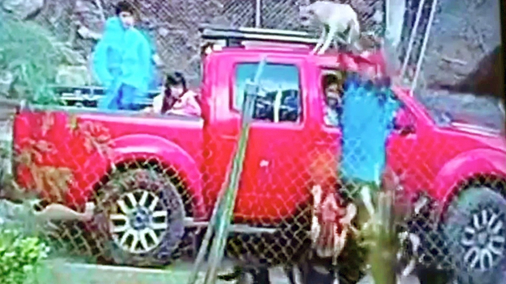Familia lanza cachorro a refugio y muere atacado