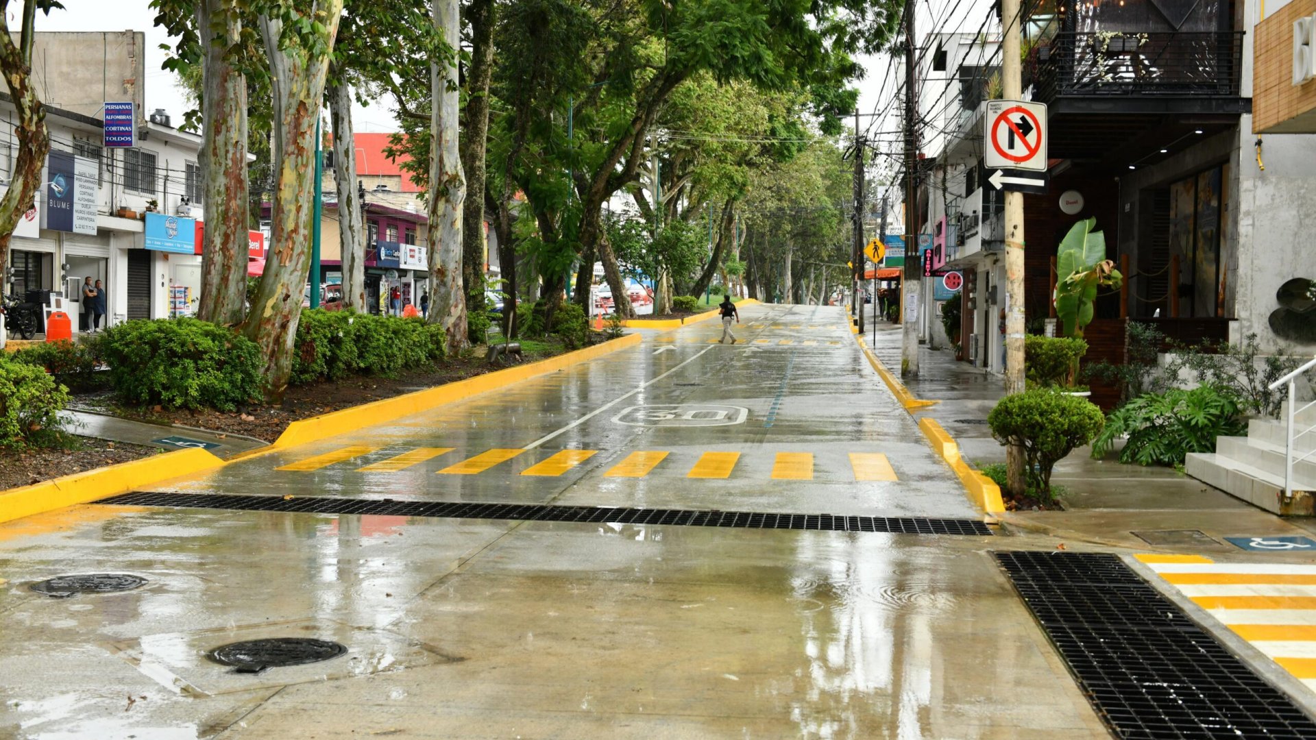 Abren Araucarias de Tepic a Tapachula