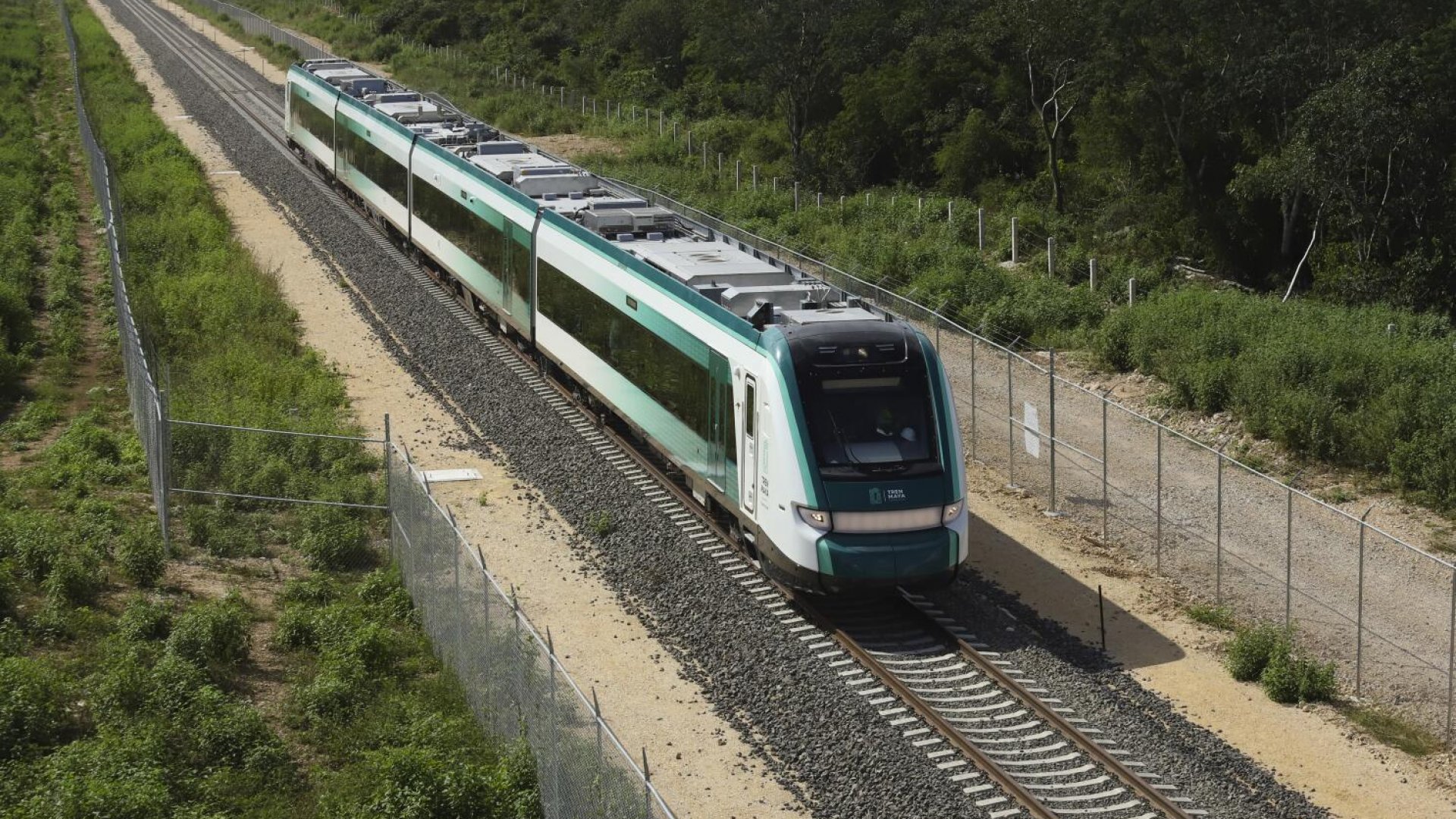 Tren Maya moviliza 1.36 millones de pasajeros y crece 74 % en un año
