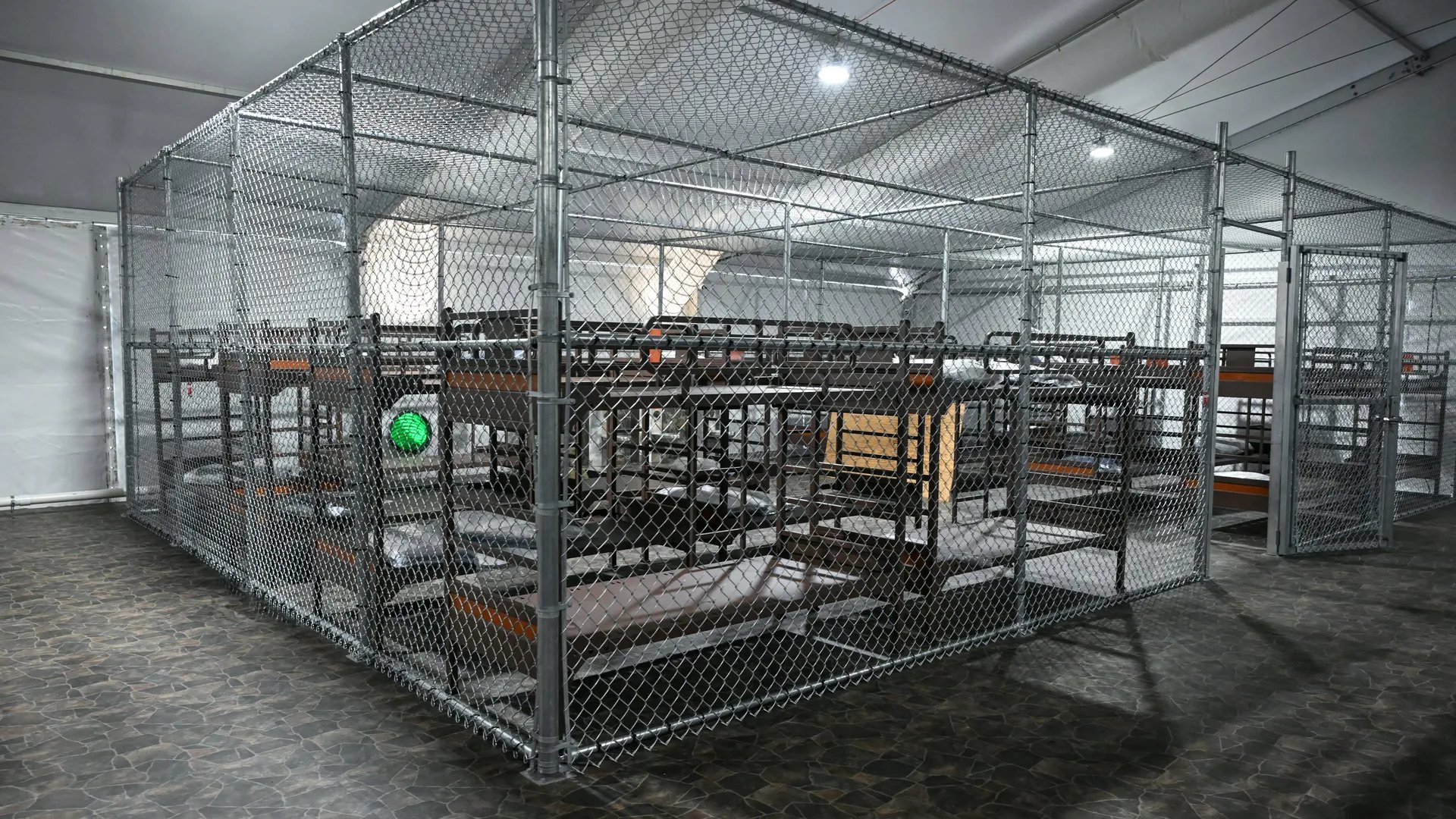Hermanos mexicanos detenidos y enviados a “Alligator Alcatraz” en Florida