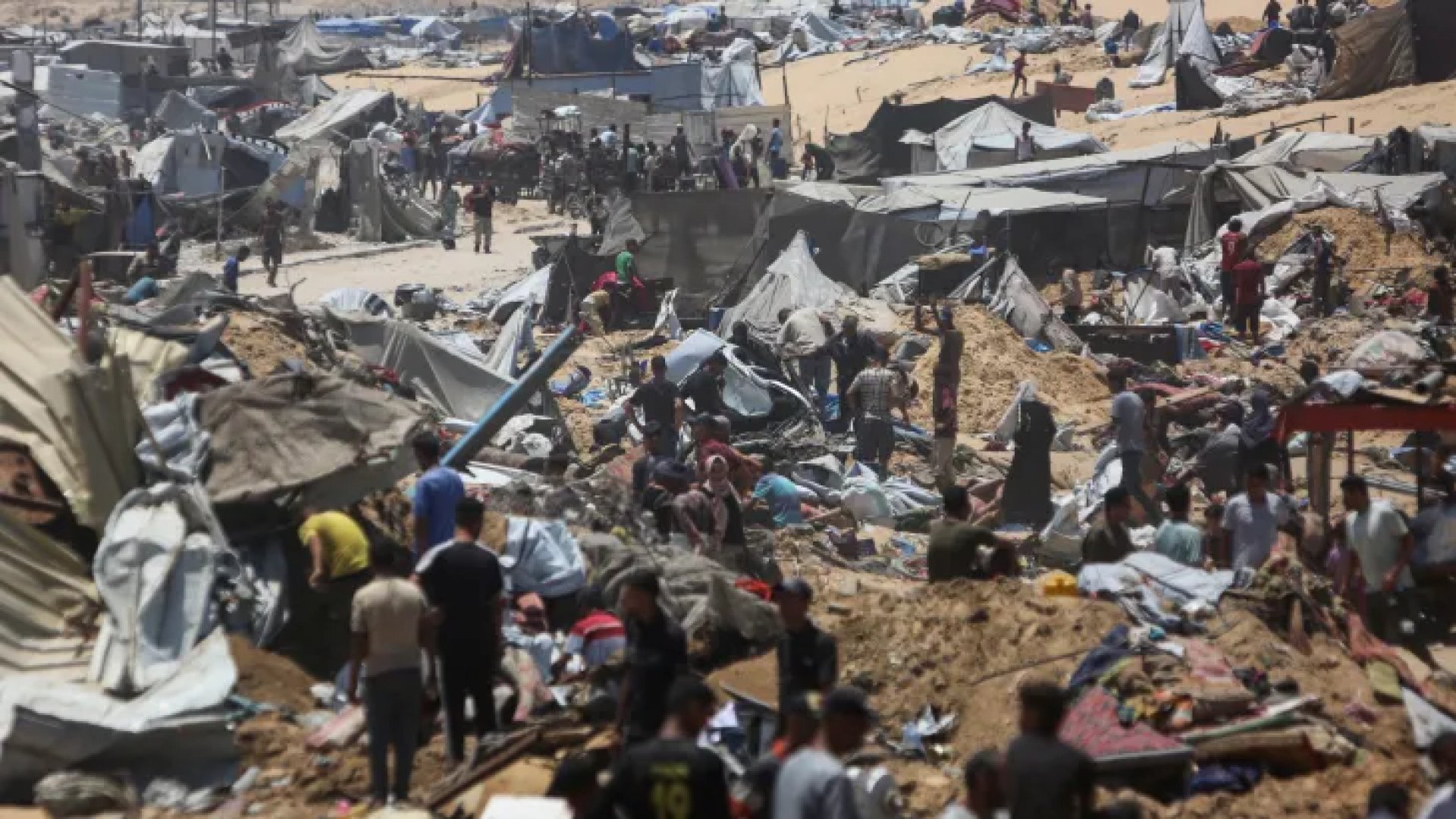 Médicos europeos denuncian la injusticia en Gaza: “En Reino Unido los animales tienen más derechos que los palestinos en su tierra”