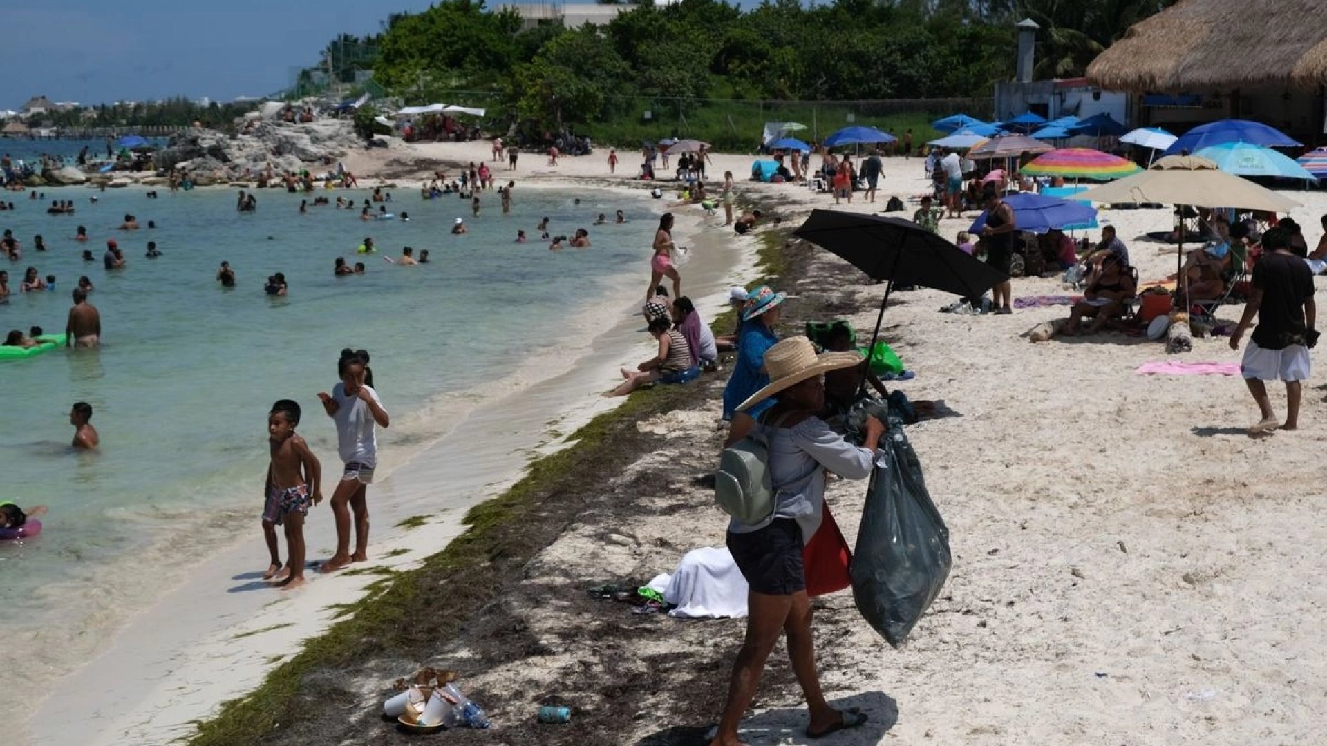 Sargazo en Quintana Roo no ha impactado el turismo, asegura Sheinbaum