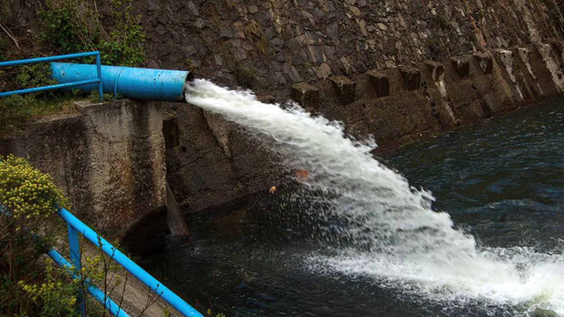 Sheinbaum exhibe que productores obtienen 300 mdp al vender agua a municipios