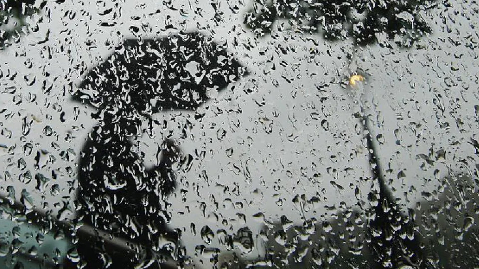 Lluvias, heladas y evento de “Norte” azotan gran parte de México