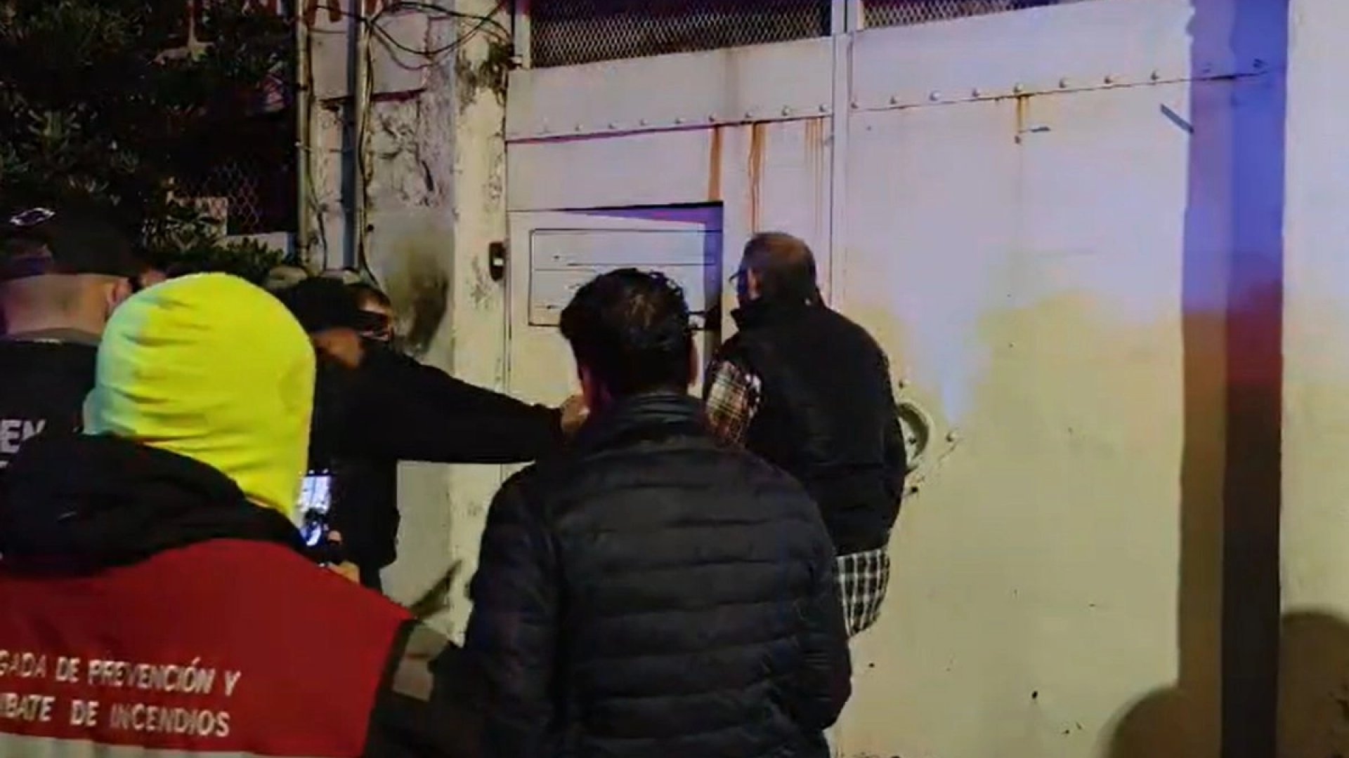 Desalojan refugio de animales en Cuajimalpa; ejemplares quedan bajo resguardo
