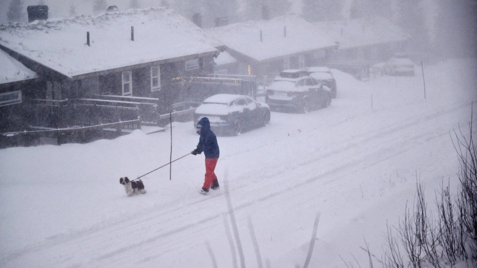 Tormenta en Noruega, Suecia y Finlandia deja a miles de viviendas sin electricidad
